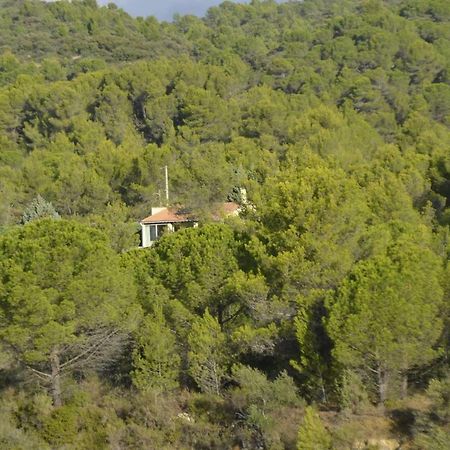 La Petite Cigale Villa Cesseras Екстериор снимка