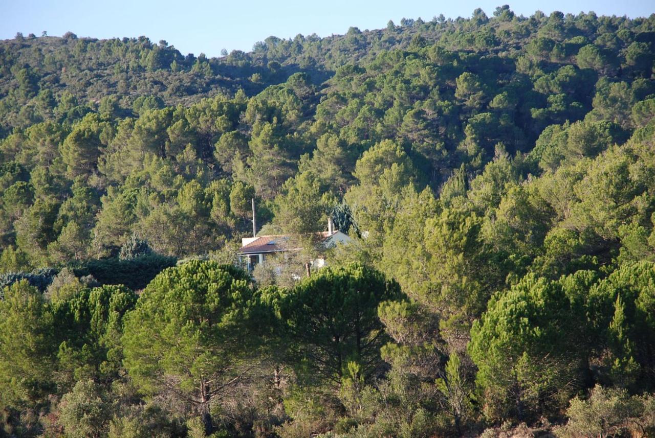 La Petite Cigale Villa Cesseras Екстериор снимка