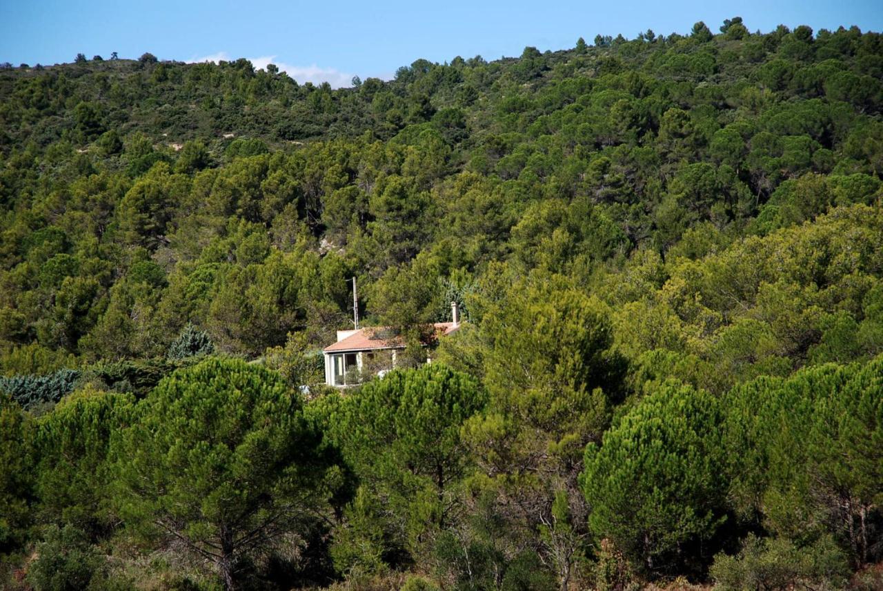 La Petite Cigale Villa Cesseras Екстериор снимка