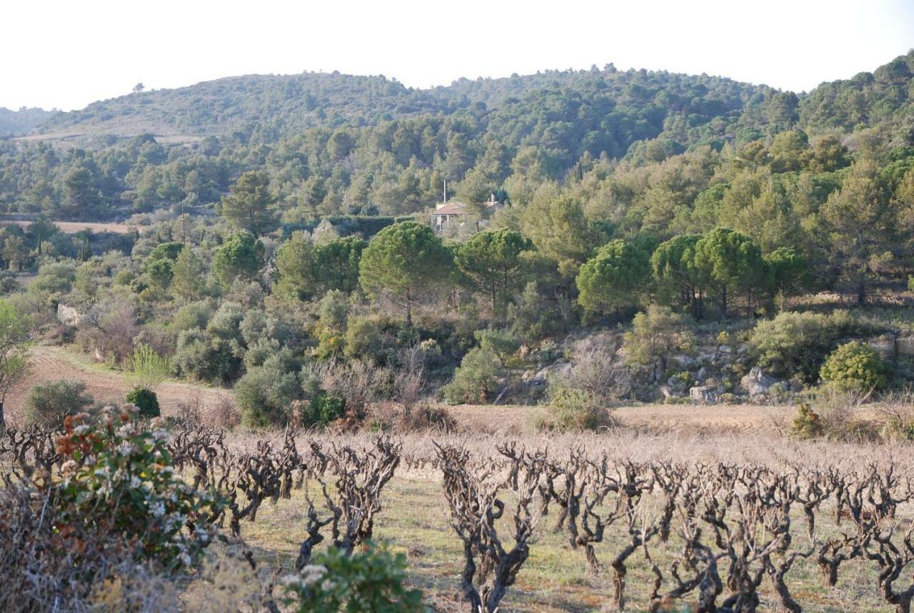 La Petite Cigale Villa Cesseras Екстериор снимка