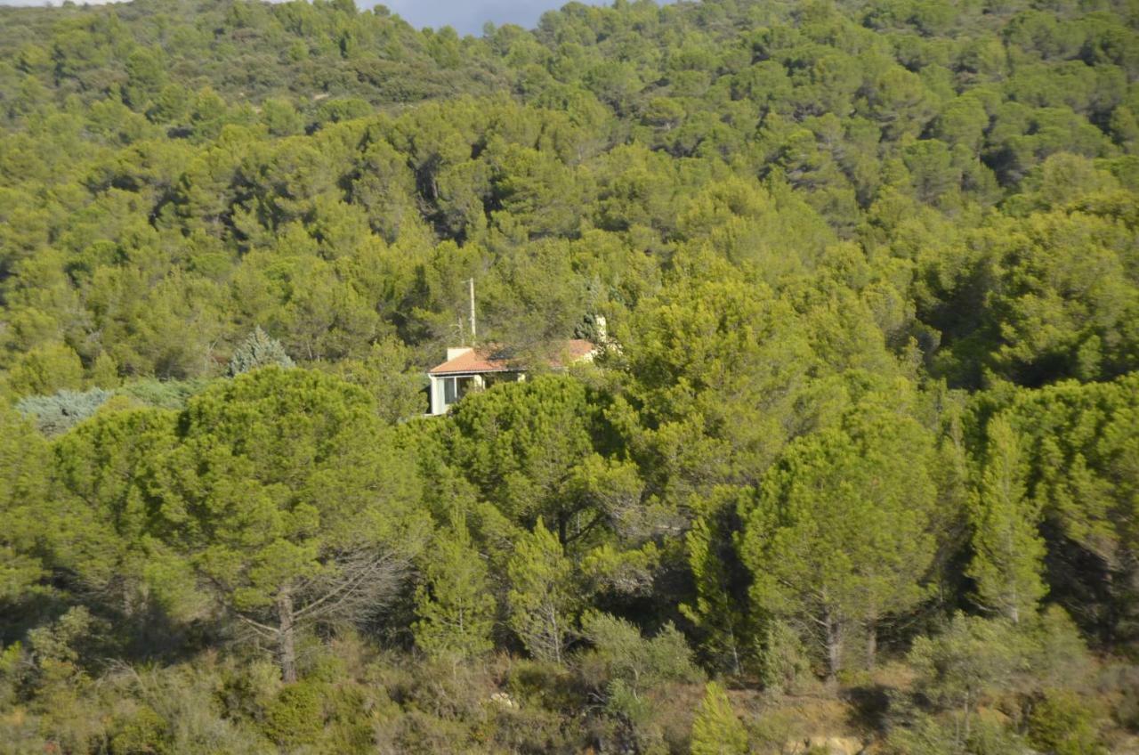 La Petite Cigale Villa Cesseras Екстериор снимка